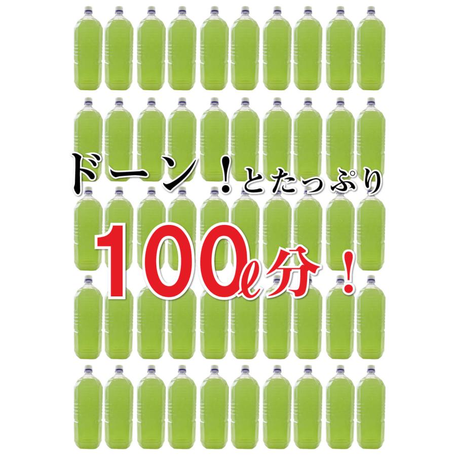 販売終了】 送料無料 メガ盛り 水出し 抹茶入り 緑茶ティーバッグ 7g