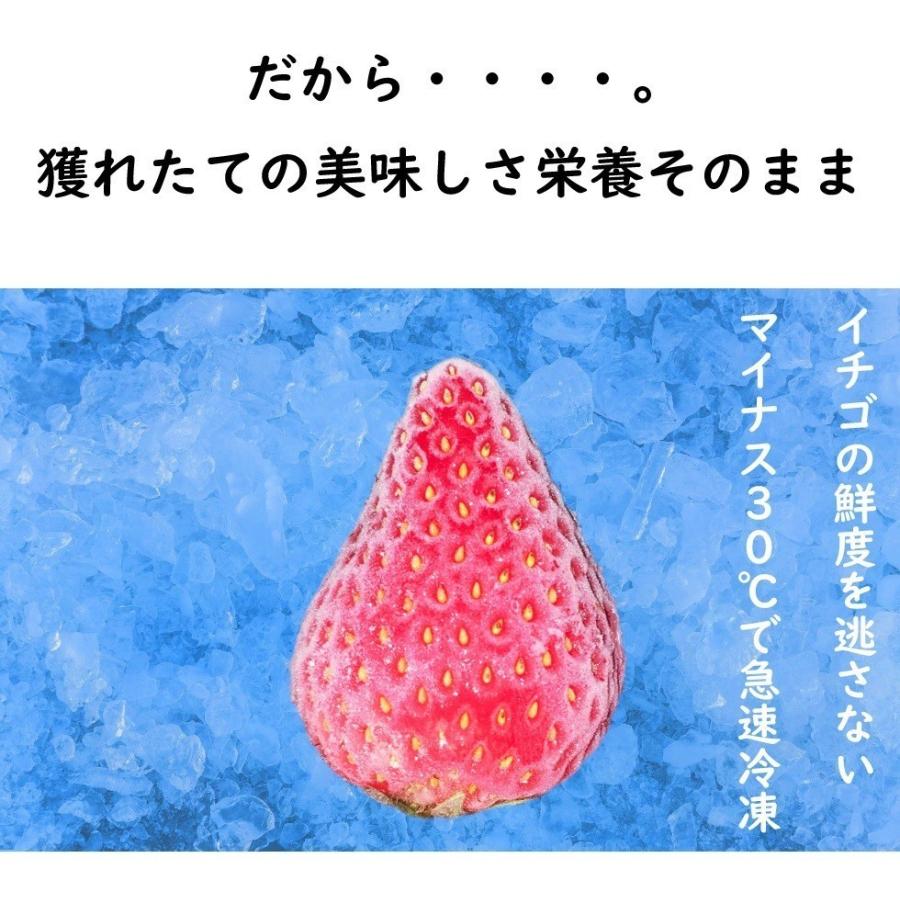 国産 冷凍いちご 紅ほっぺ 無添加 送料無料 たっぷり1kg ストロベリー 無添加 無加糖 フルーツ 果物 くだもの スムージー ジャム :178:わが家のちゃぶ台 - 通販 - Yahoo!ショッピング 国産 冷凍いちご 紅ほっぺ 無添加 送料無料 たっぷり1kg ストロベリー 無添加 無加糖 フルーツ 果物 くだもの スムージー ジャム :178:わが家のちゃぶ台 - 通販 - Yahoo!ショッピング