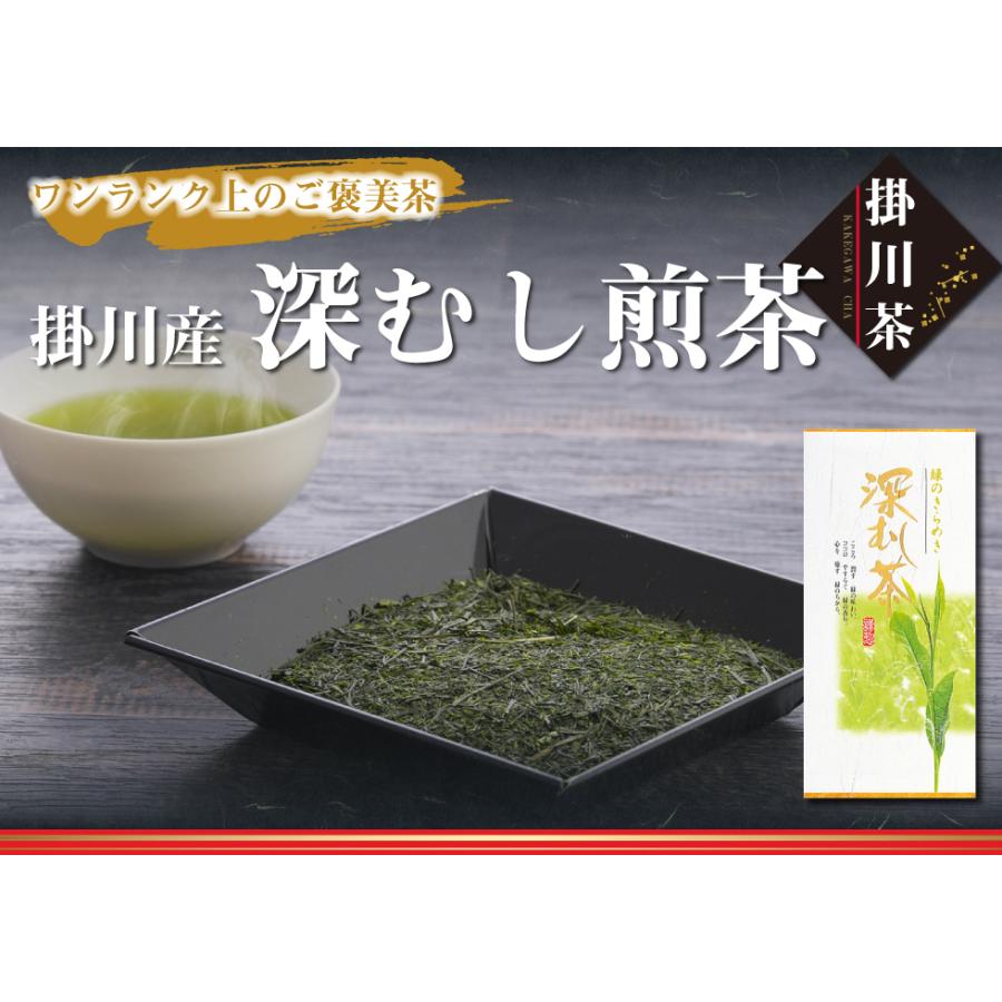 送料無料 掛川産 深むし 煎茶 100g×1袋 お茶 緑茶 茶 茶葉 お茶葉 静岡