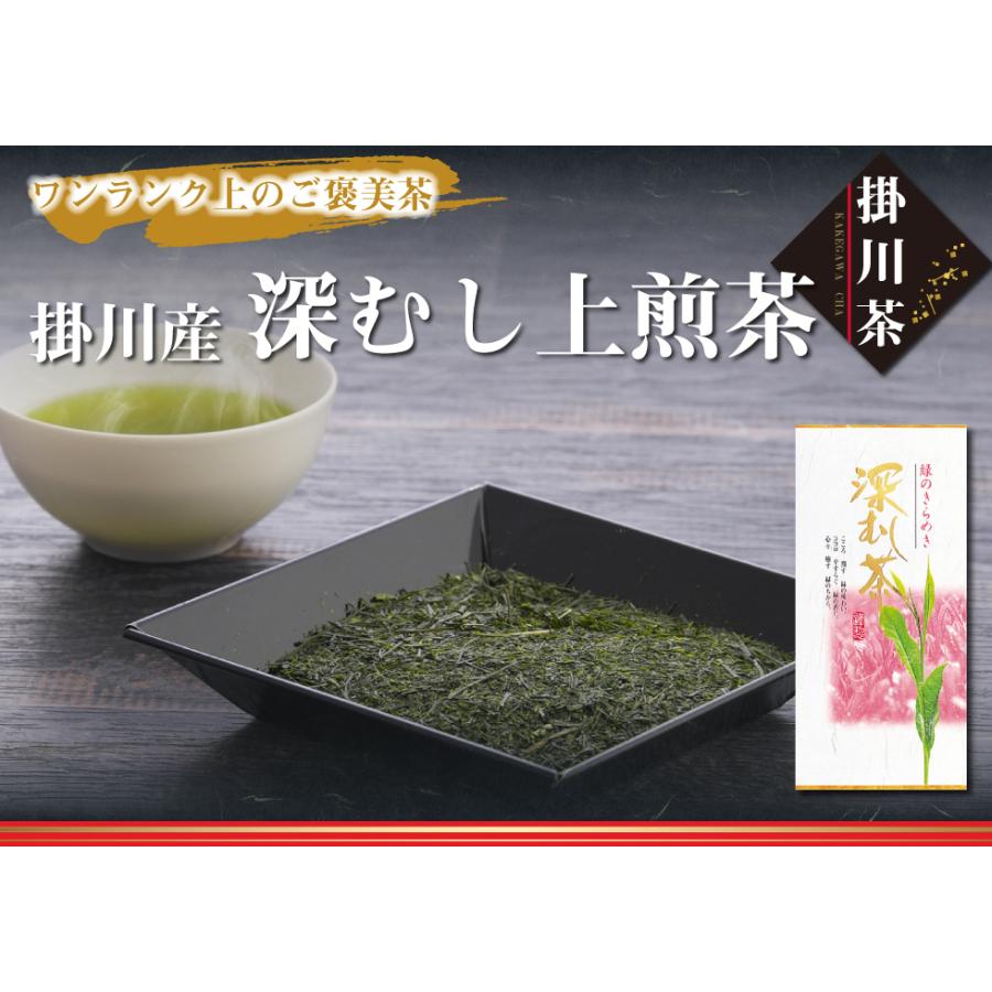 送料無料 掛川産 深むし上煎茶 100g×1袋 お茶 緑茶 煎茶 茶 茶葉 お