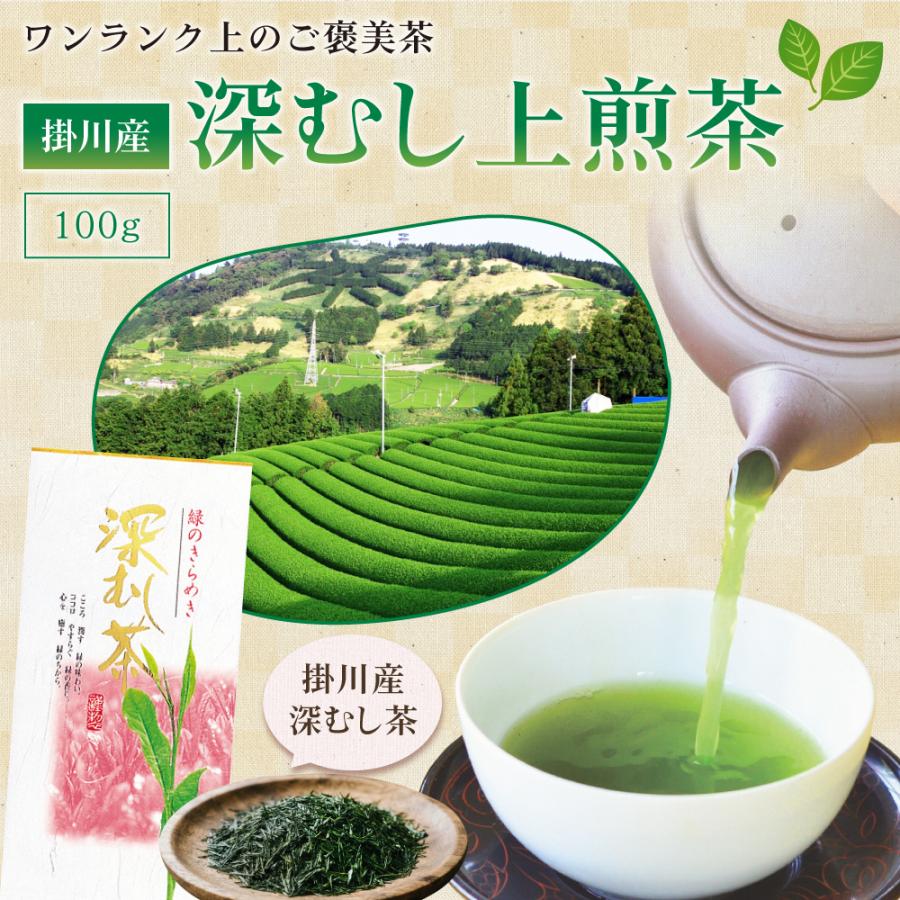 掛川産 深むし上煎茶 100g | わが家のちゃぶ台 送料無料 お茶 緑茶