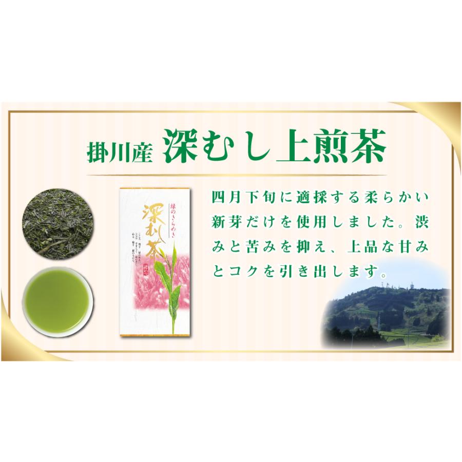 送料無料 掛川産 深むし上煎茶 100g×1袋 お茶 緑茶 煎茶 茶 茶葉 お