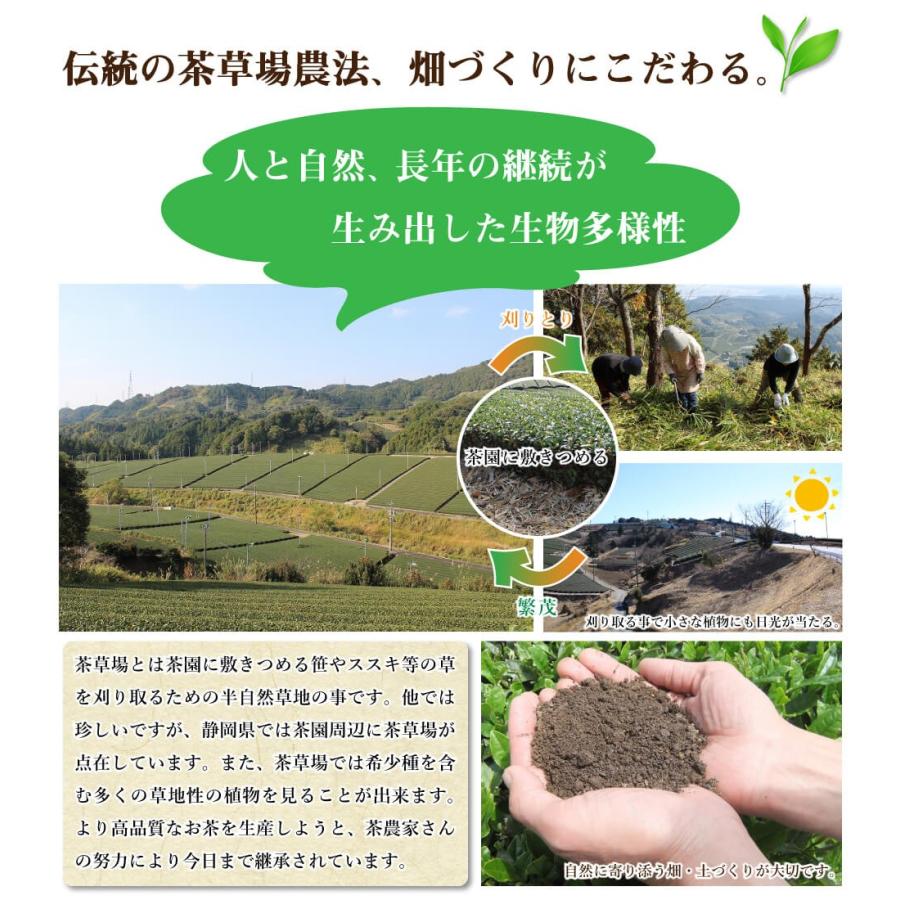 経典ブランド 送料無料 天皇杯受賞茶園 緑茶 80g 1袋 お茶 煎茶 茶 茶葉 お茶葉 静岡 牧之原 国産 深蒸し 深むし 健康 健康茶 一番茶 新茶 Wantannas Go Id