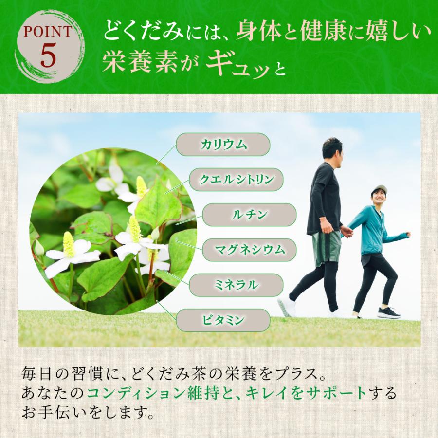 どくだみ茶 (3g×50P) | わが家のちゃぶ台 送料無料 ドクダミ ノン