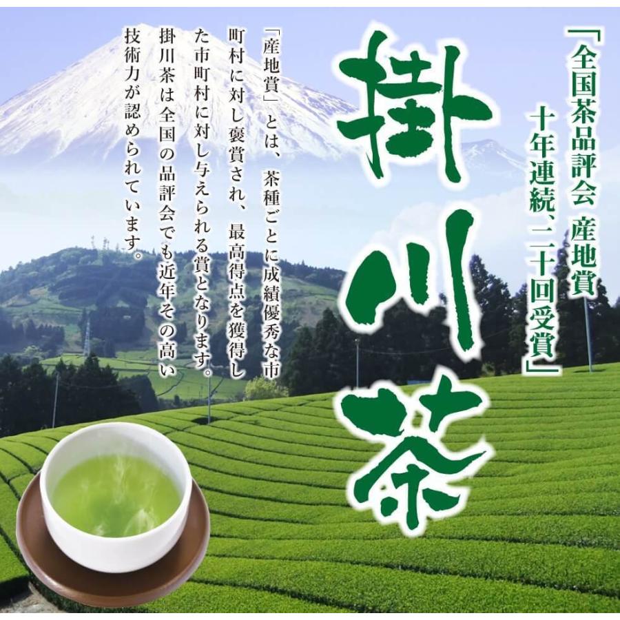 銘茶 掛川茶 100g×4本 | わが家のちゃぶ台 送料無料 お茶 緑茶 煎茶