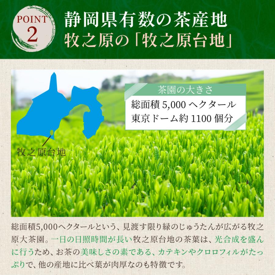 牧之原茶 100g×3袋 | わが家のちゃぶ台 送料無料 お茶 緑茶 煎茶 静岡