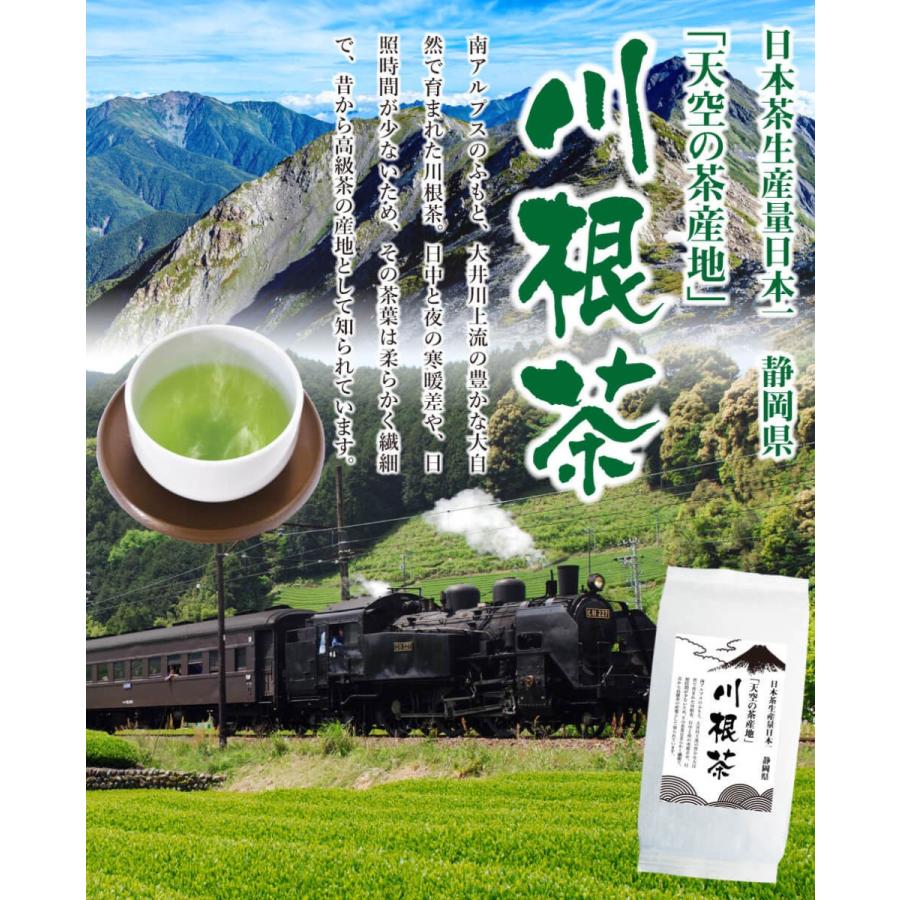 送料無料 川根茶 100g×3袋セット お茶 緑茶 煎茶 茶 茶葉 お茶葉 静岡