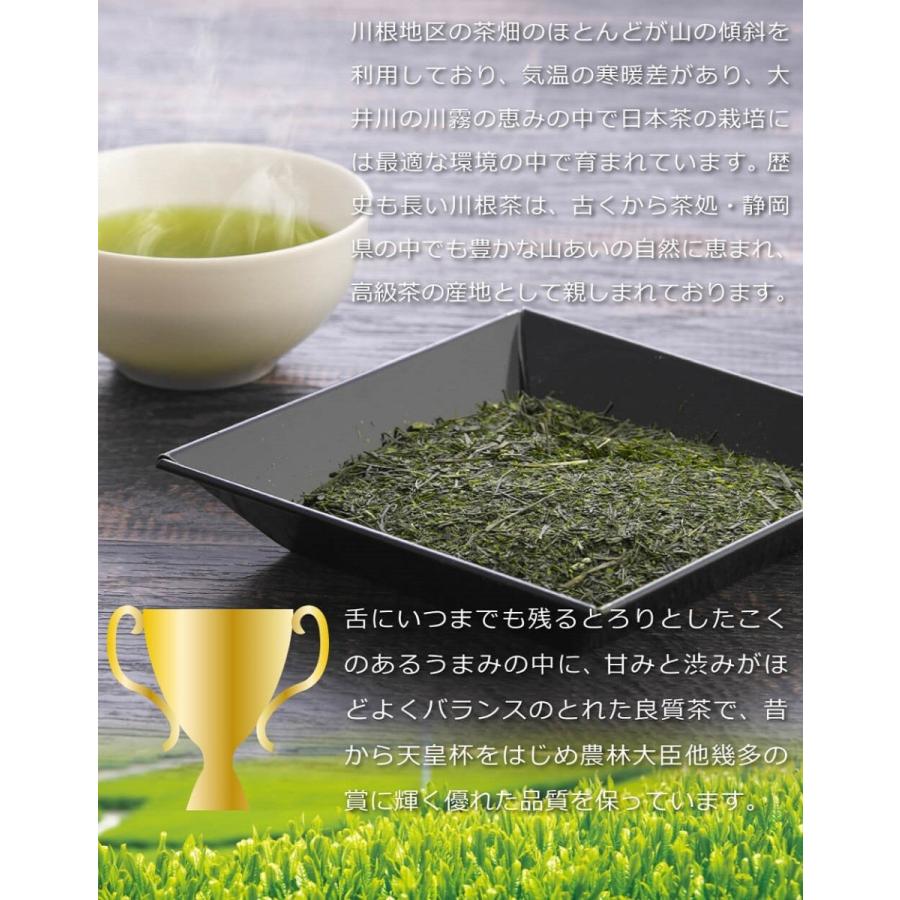 送料無料 川根茶 100g×6袋セット お茶 緑茶 煎茶 茶 茶葉 お茶葉 静岡