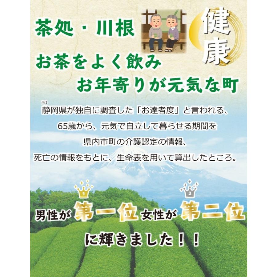 送料無料 川根茶 100g×6袋セット お茶 緑茶 煎茶 茶 茶葉 お茶葉 静岡