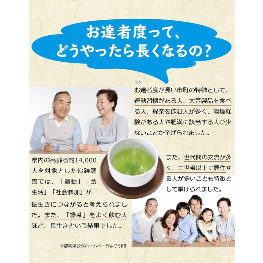 送料無料 川根茶 100g×6袋セット お茶 緑茶 煎茶 茶 茶葉 お茶葉 静岡