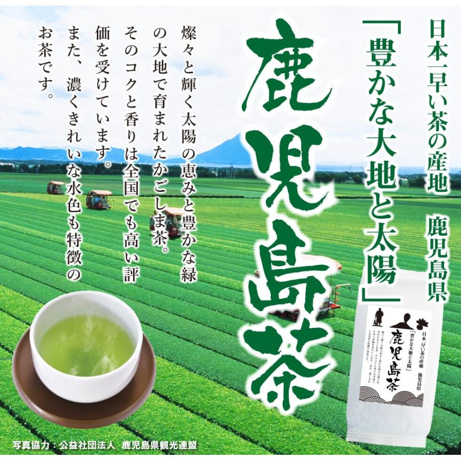 送料無料 鹿児島茶 100g 1袋 お茶 緑茶 煎茶 茶 茶葉 お茶葉 鹿児島 九州 国産 深蒸し 深むし 健康 健康茶 644 わが家のちゃぶ台 通販 Yahoo ショッピング