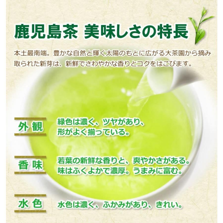 送料無料 知覧 鹿児島茶 100g×1袋　お茶 緑茶 煎茶 茶 茶葉 お茶葉 鹿児島 九州 国産 深蒸し 深むし 健康 健康茶｜tea-agent-japan｜05