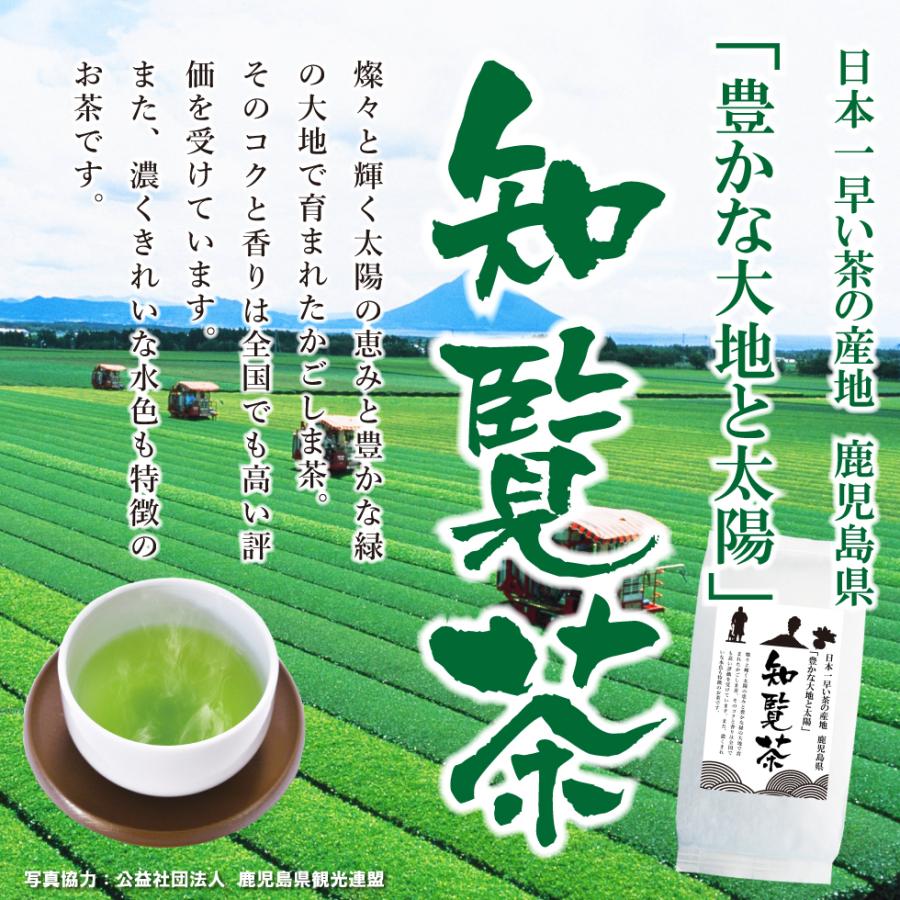 知覧茶 100g×6袋 | わが家のちゃぶ台 送料無料 鹿児島茶 お茶 緑茶