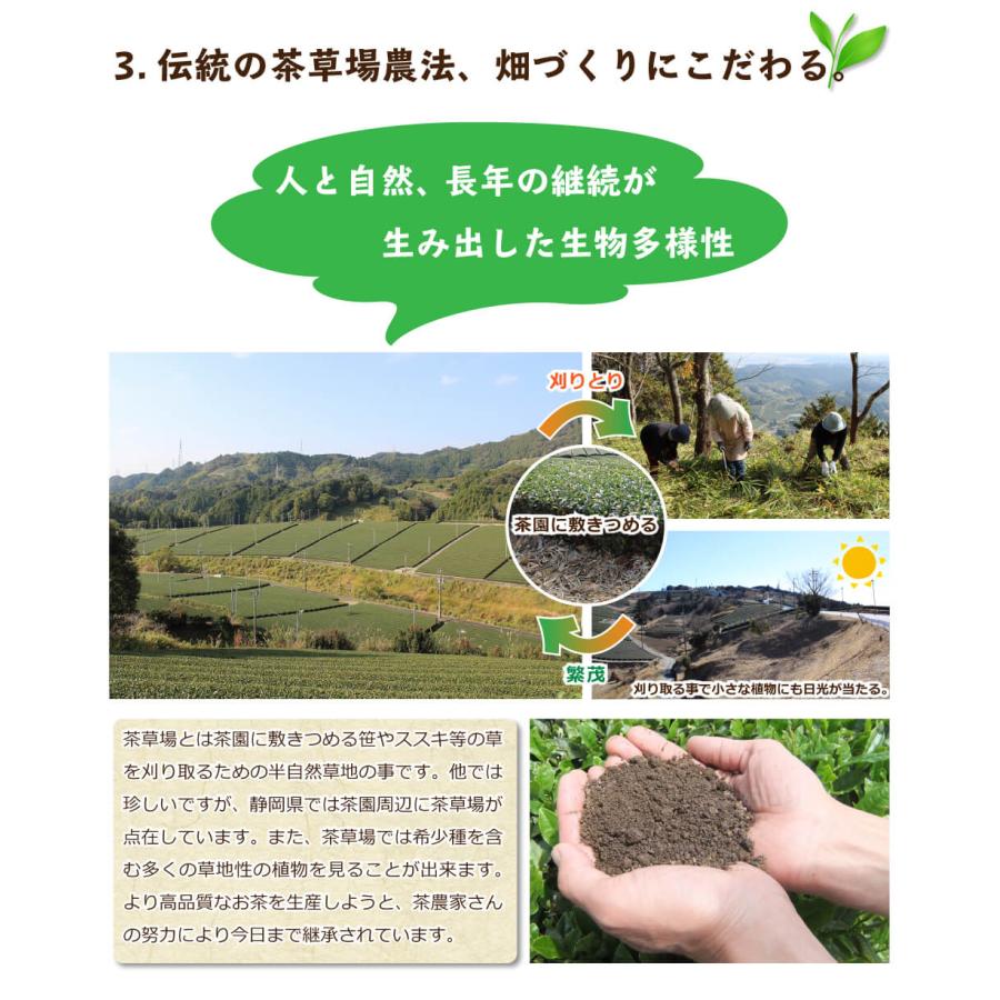 静岡茶 深むし茶360g×6個 送料無料 かのう茶店 お茶煎茶お買い得産直