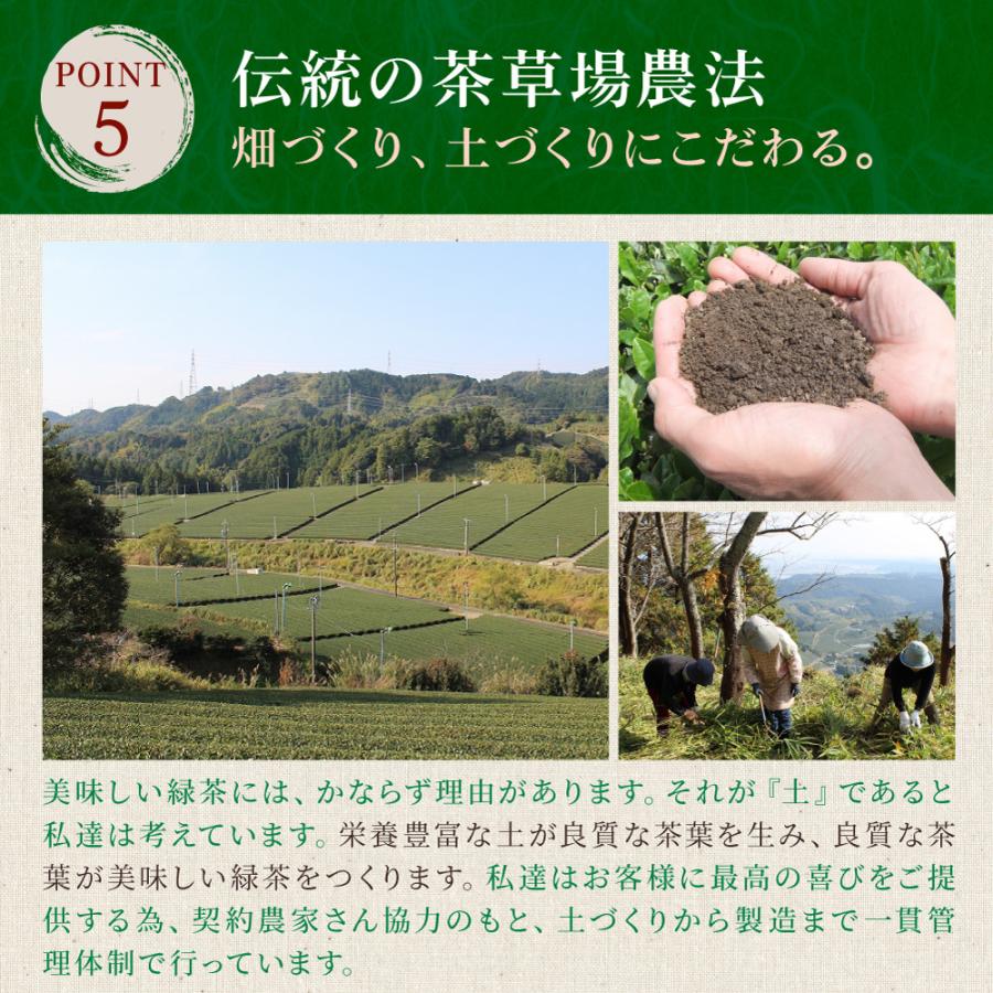 静岡茶 100g x 3缶　日本茶　銘茶　緑茶　中久 銘茶 静岡茶100g×3本 お茶 緑茶 煎茶 茶 茶葉 お茶葉 静岡 国産 深蒸し