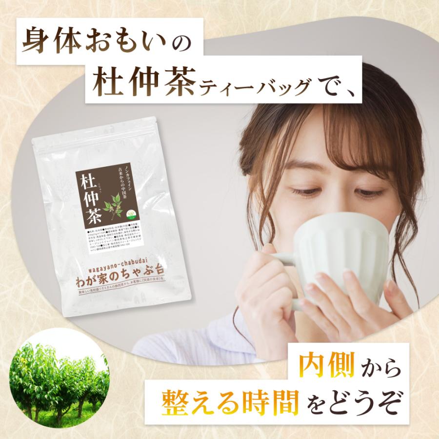 杜仲茶 3g×110p 送料無料 とちゅう茶 トチュウ茶 とちゅうちゃ ティー