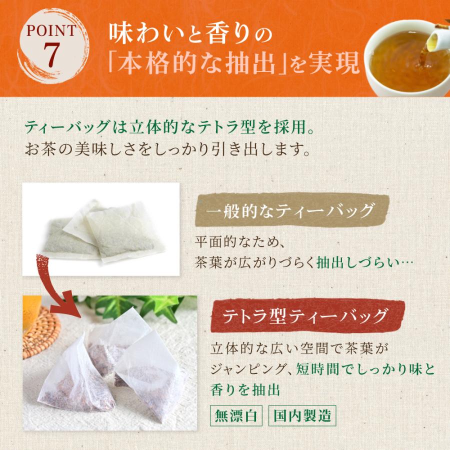 柿の葉茶 3g×40P×10袋 　〜  送料無料 かきのは茶 ティーバッグ 柿 葉 茶 健康茶 ノンカフェイン ビタミンC メール便 ya_10