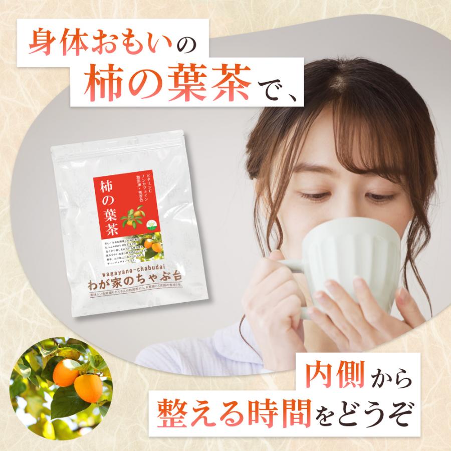 柿の葉茶 3g×40P×10袋 　〜  送料無料 かきのは茶 ティーバッグ 柿 葉 茶 健康茶 ノンカフェイン ビタミンC メール便 ya_3