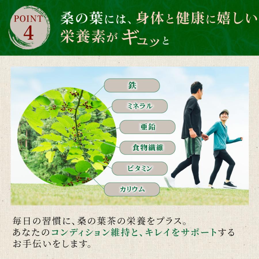 送料無料 国産 桑の葉 パウダー 500g 〜 粉末 桑茶 桑の葉茶 くわ茶