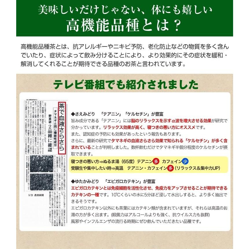 お茶 鹿児島茶 荒づくり 100g 3個以上送料無料 煎茶 緑茶 日本茶 茶葉 さえみどり ポイント利用 | 山麓園 | 08