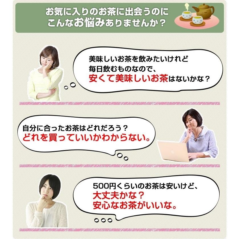 お茶 鹿児島茶 荒づくり 100g 3個以上送料無料 煎茶 緑茶 日本茶 茶葉 さえみどり ポイント利用 | 山麓園 | 01
