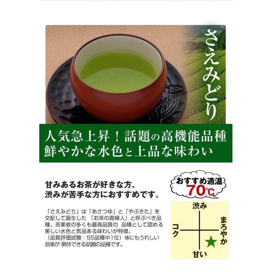 お茶 鹿児島茶 荒づくり 100g 3個以上送料無料 煎茶 緑茶 日本茶 茶葉 さえみどり｜tea-sanrokuen｜09