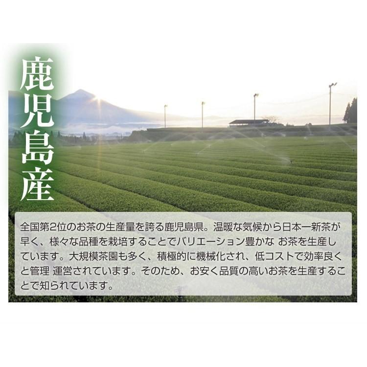 お茶 鹿児島茶 荒づくり 100g 3個以上送料無料 煎茶 緑茶 日本茶 茶葉 さえみどり ポイント利用 | 山麓園 | 07