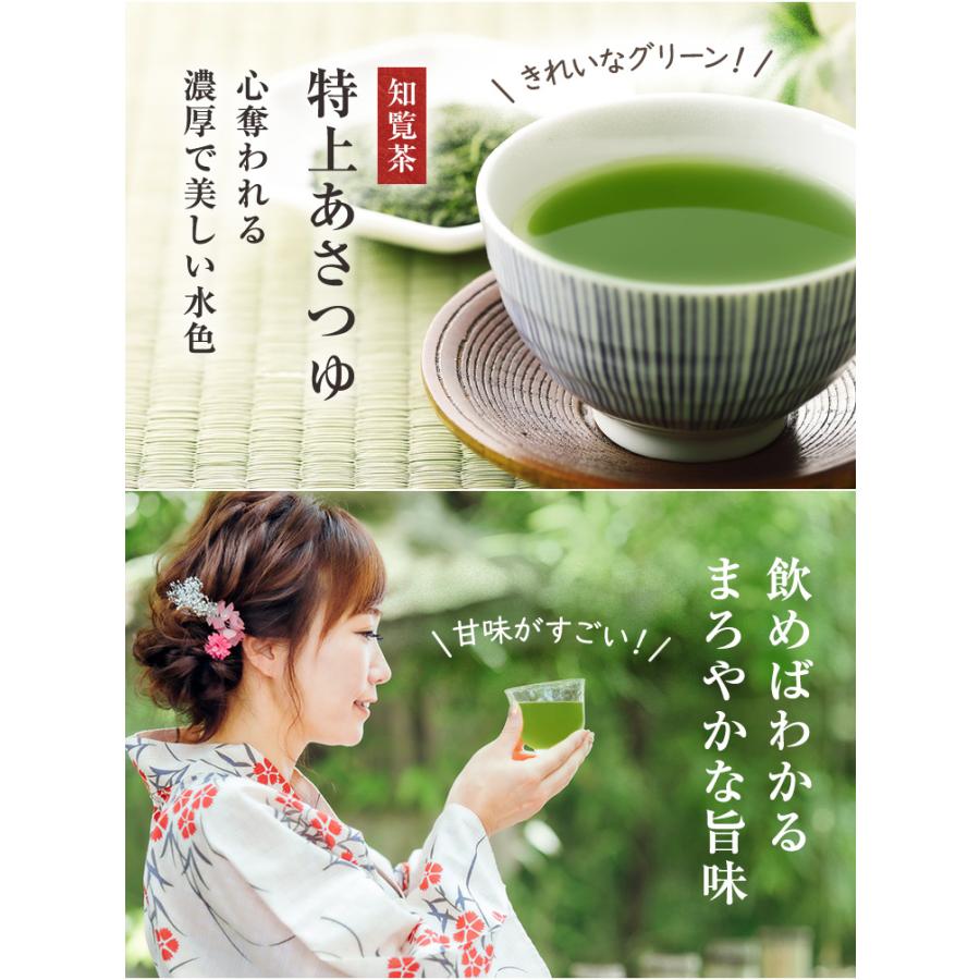 2024年 新茶 特上朝露 あさつゆ 知覧茶 お茶 緑茶 茶葉 100g 煎茶 お供え ギフト｜tea-sanrokuen｜02