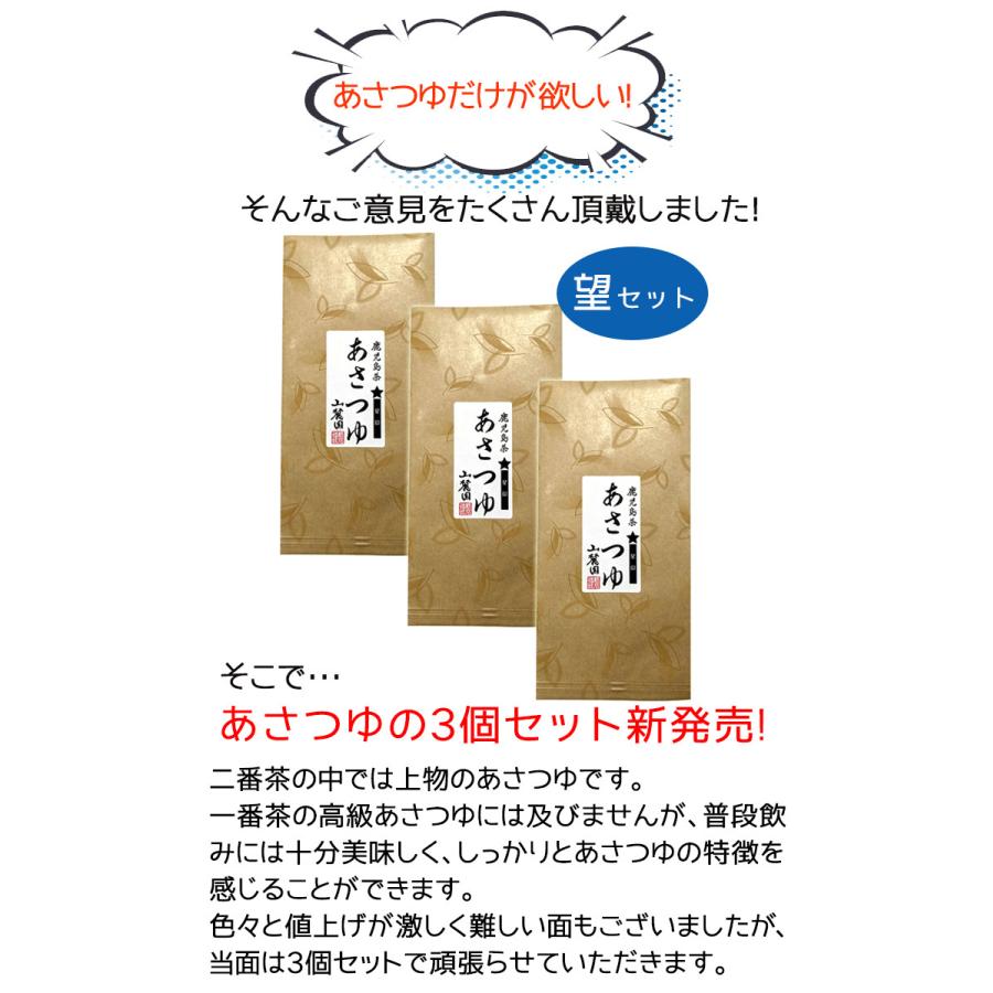 新茶 2024年 父の日 ギフト お茶 緑茶 茶葉 選べるお茶 福袋 300g他(最大400g) 知覧茶 嬉野茶｜tea-sanrokuen｜27