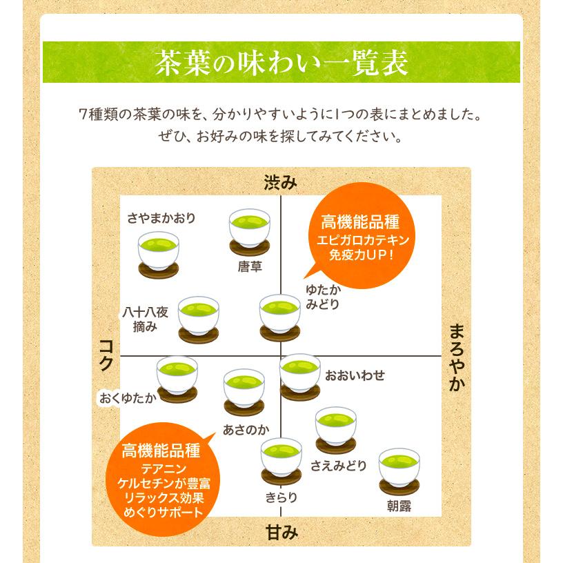 お茶 プレゼント ギフト 上級茶 福袋 緑茶 茶葉 100g×3個 2026 知覧茶 ポイント利用 | 山麓園 | 12