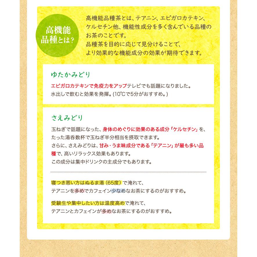 お茶 プレゼント ギフト 上級茶 福袋 緑茶 茶葉 100g×3個 2026 知覧茶 ポイント利用 | 山麓園 | 13