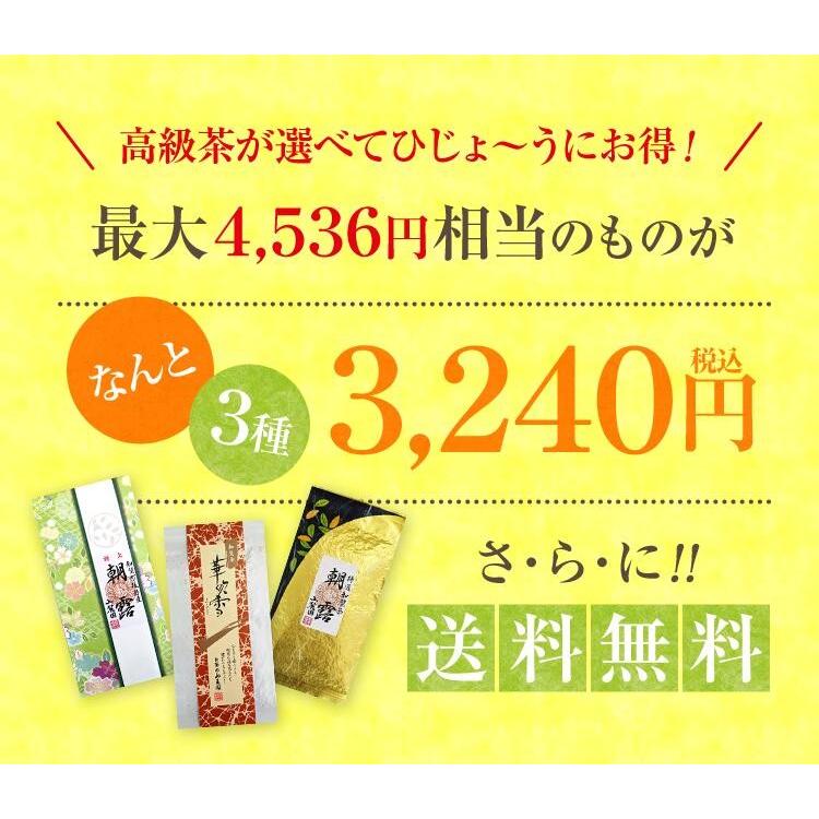 お茶 ギフト 茶通も唸る 高級茶 福袋 300g 知覧茶 煎茶 日本茶 仏事 プレゼント ポイント利用 | 山麓園 | 03