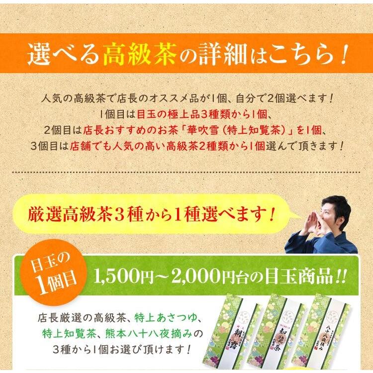 お茶 ギフト 茶通も唸る 高級茶 福袋 300g 知覧茶 煎茶 日本茶 仏事 プレゼント ポイント利用 | 山麓園 | 04