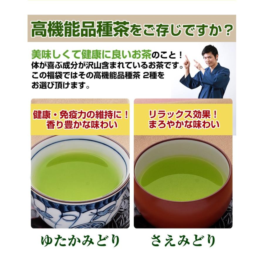 お茶 高機能品種茶 福袋 茶葉 緑茶 200g さえみどり ゆたかみどり 100×2個 お中元 ギフト｜tea-sanrokuen｜02