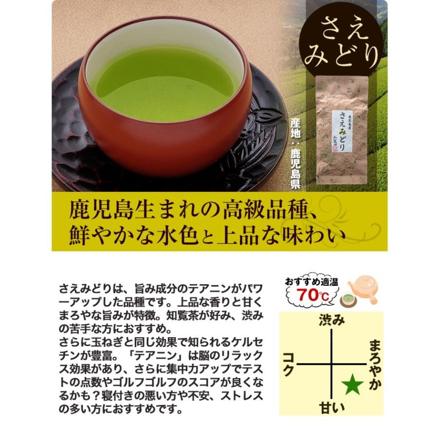 お茶 高機能品種茶 福袋 茶葉 緑茶 200g さえみどり ゆたかみどり 100×2個 ギフト｜tea-sanrokuen｜06