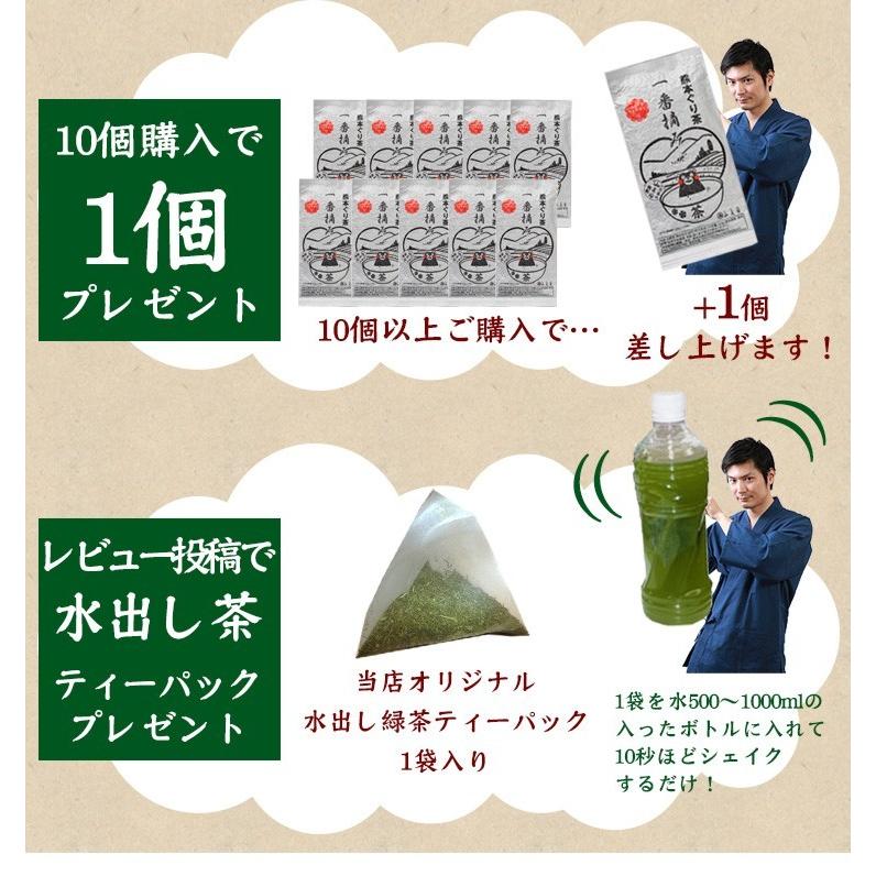 2024年 新茶 お茶 熊本ぐり茶 一番摘み 100g 3個以上で送料無料 ギフト お茶の葉 日本茶 煎茶 緑茶 茶葉｜tea-sanrokuen｜06