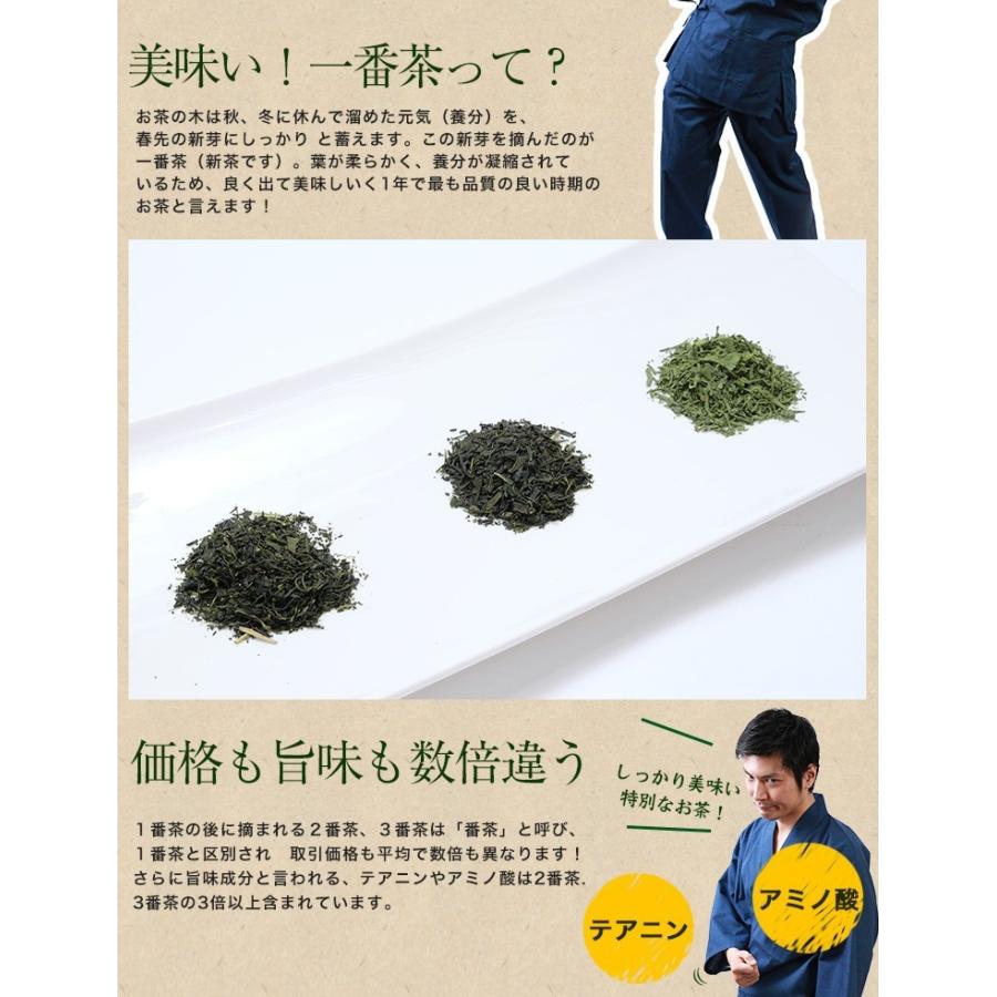 お茶 熊本ぐり茶 一番摘み 100g 3個以上で送料無料 ギフト お茶の葉 日本茶 煎茶 緑茶 茶葉｜tea-sanrokuen｜09