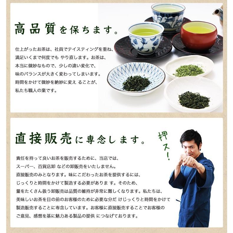 お茶 熊本ぐり茶 一番摘み 100g 3個以上で送料無料 ギフト お茶の葉 日本茶 煎茶 緑茶 茶葉｜tea-sanrokuen｜11