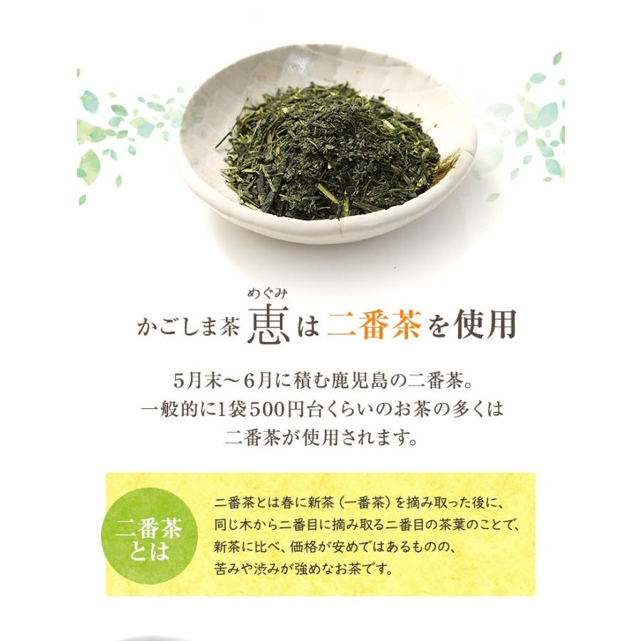 お茶 鹿児島茶 恵 100g×3個 緑茶 茶葉 お茶の葉 日本茶 煎茶｜tea-sanrokuen｜04