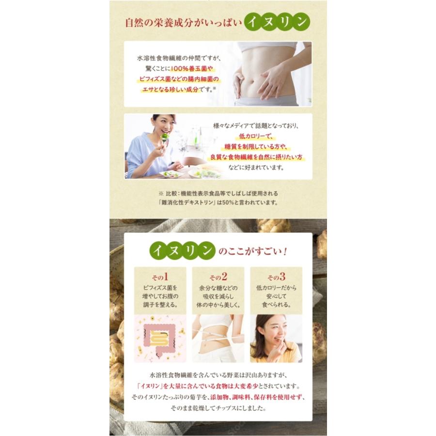 山麓園 菊芋チップス 100g 熊本県産100％ 国産 無農薬 農薬不使用