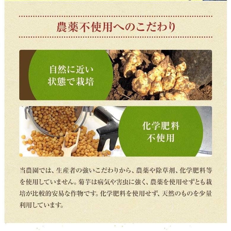 山麓園 菊芋チップス 100g 熊本県産100％ 国産 無農薬 農薬不使用