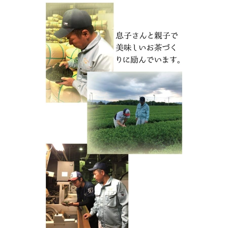 熊本水害 応援 球磨の恵 100g 緑茶 茶葉 川上さんのお茶｜tea-sanrokuen｜06
