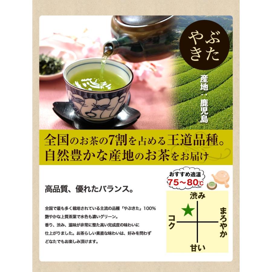 鹿児島茶「桜」 100g 3個以上 送料無料 お茶 煎茶 知覧茶 ポイント消化｜tea-sanrokuen｜05