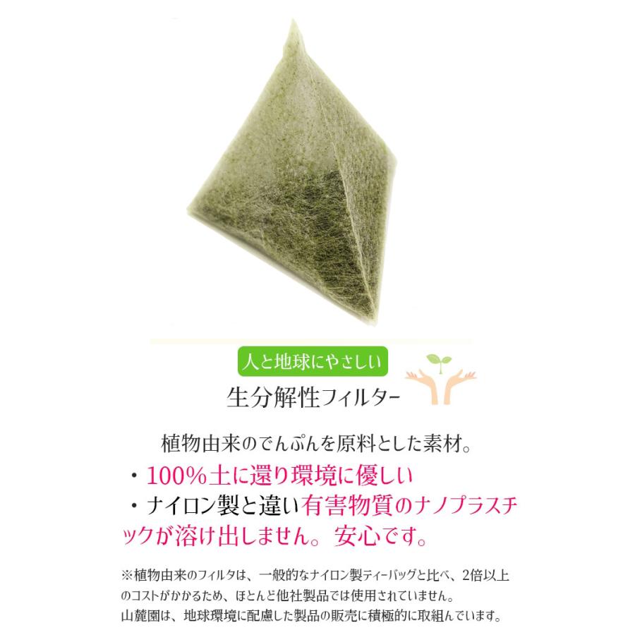 2024年 新茶 緑茶 ティーバッグ お茶 ティーパック 水出し 2.5g×100個 熊本産一番茶100％ お湯だし｜tea-sanrokuen｜02