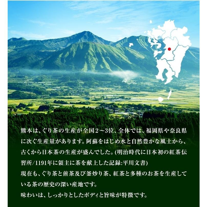 山麓園 2026年 新茶 緑茶 ティーバッグ お茶 ティーパック 水出し 2.5g