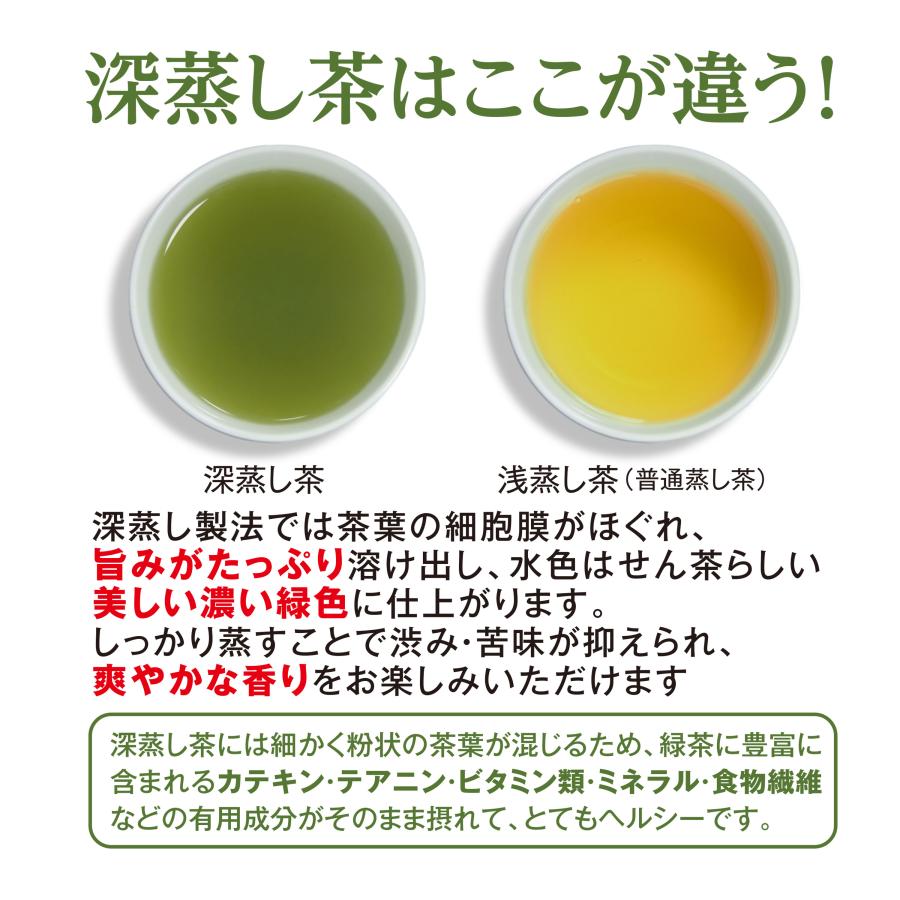 山英 緑茶 茶葉 100g 静岡 掛川 深蒸し茶 大容量 お茶 茶 水出し緑茶