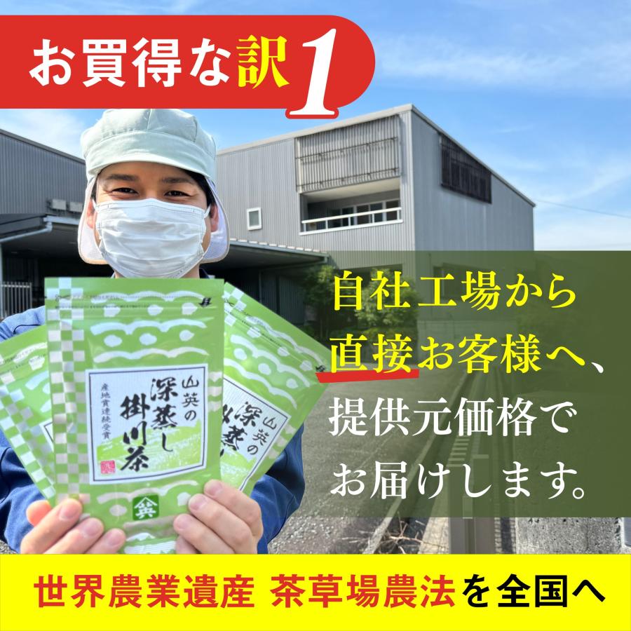山英 緑茶 茶葉 100g 静岡 掛川 深蒸し茶 大容量 お茶 茶 水出し緑茶