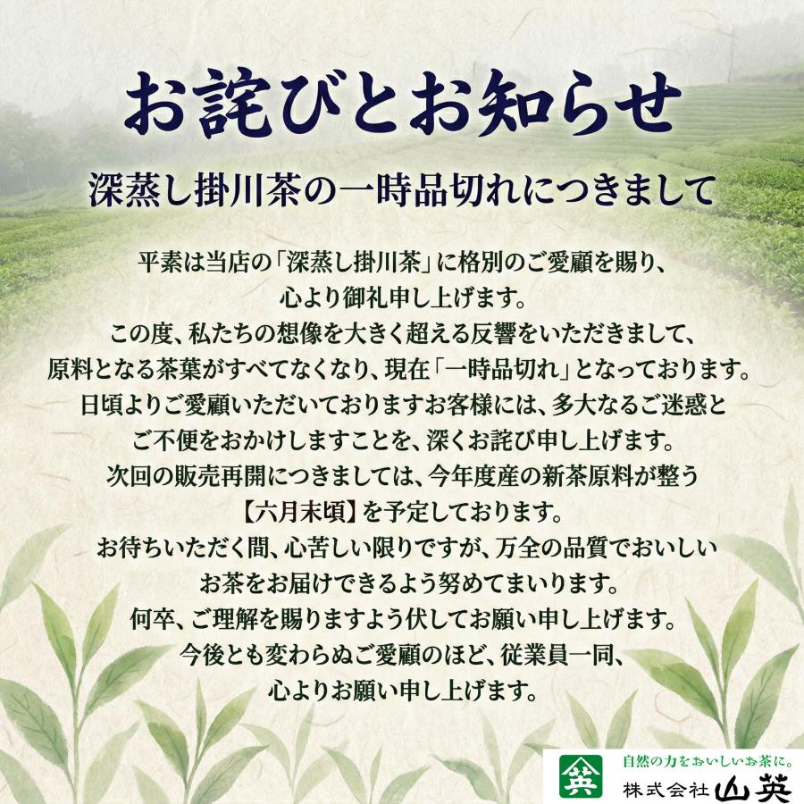山英 緑茶 茶葉 100g 4袋 静岡 掛川 深蒸し茶 大容量 お茶 茶 水出し