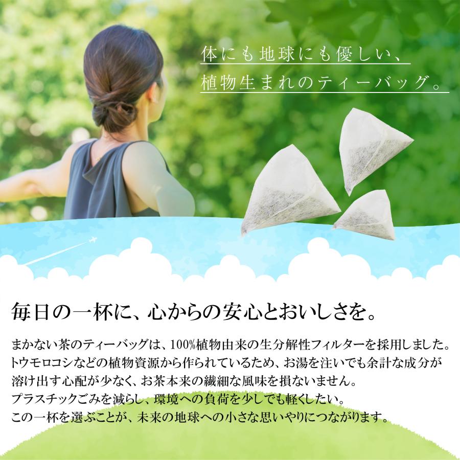 山英 緑茶 ティーバッグ お茶 ティーパック 静岡茶 深蒸し茶 山英 緑茶 ティーバッグ お茶 ティーパック 静岡茶 深蒸し茶