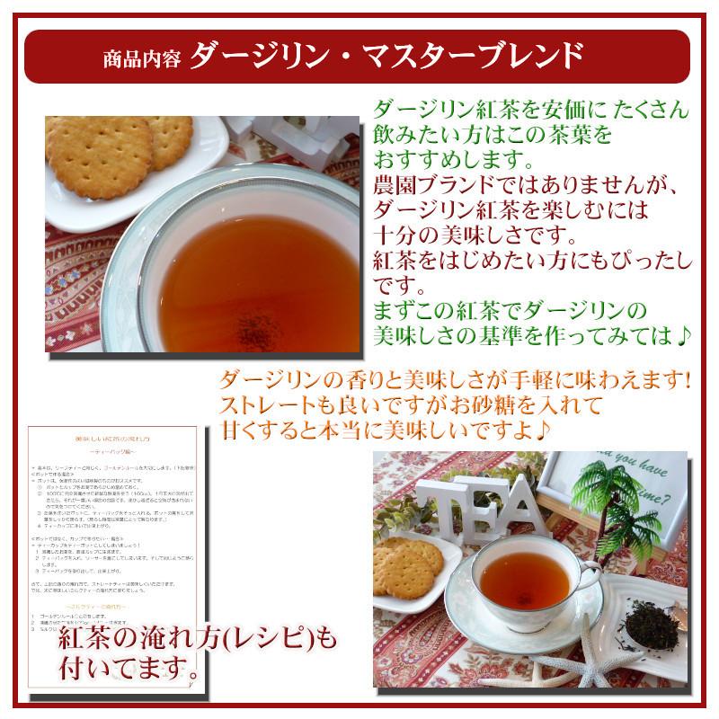 紅茶 ティーバッグ 40個 紅茶 ダージリン ダージリン マスターブレンド 食品